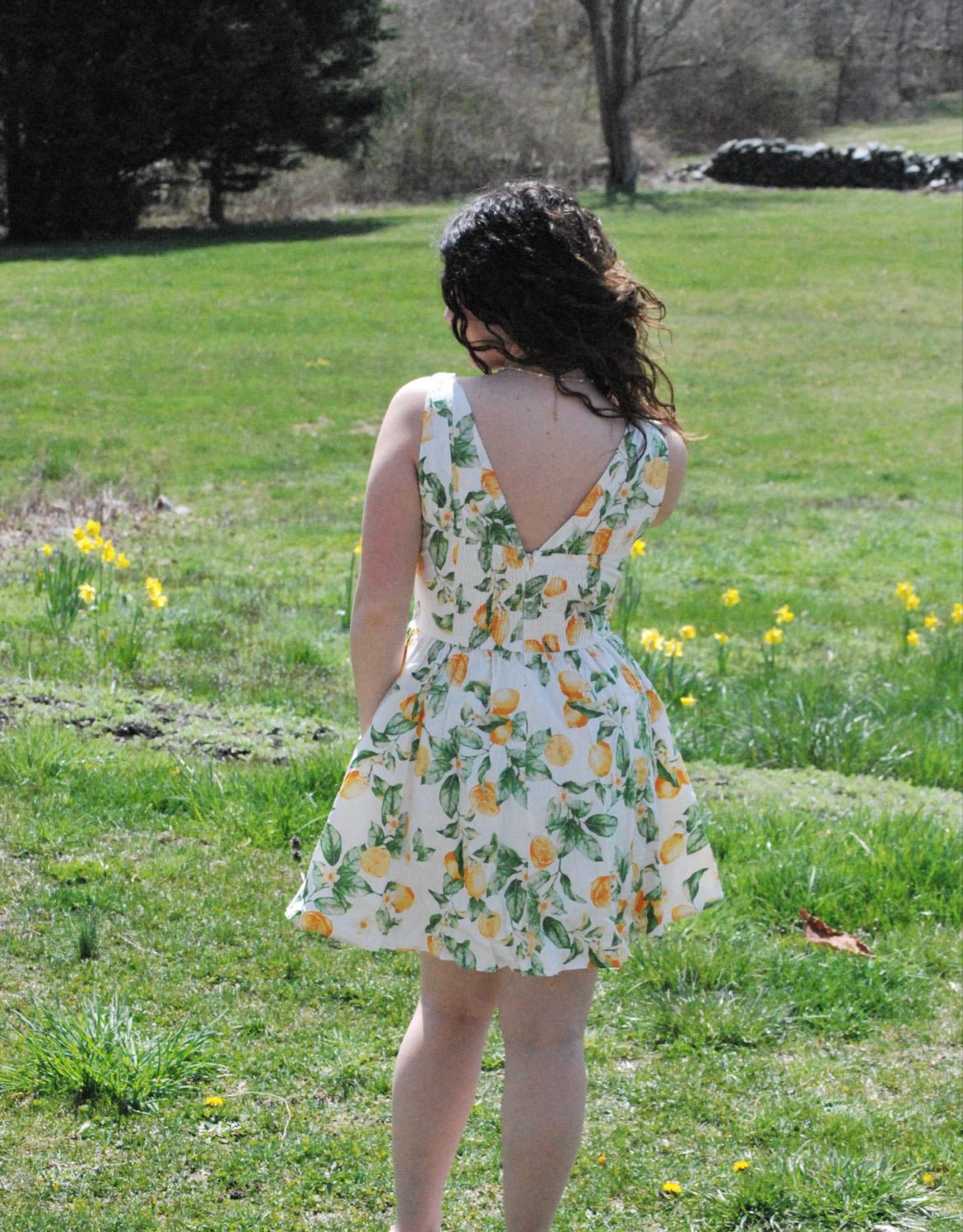 Lemon Lover Mini Dress