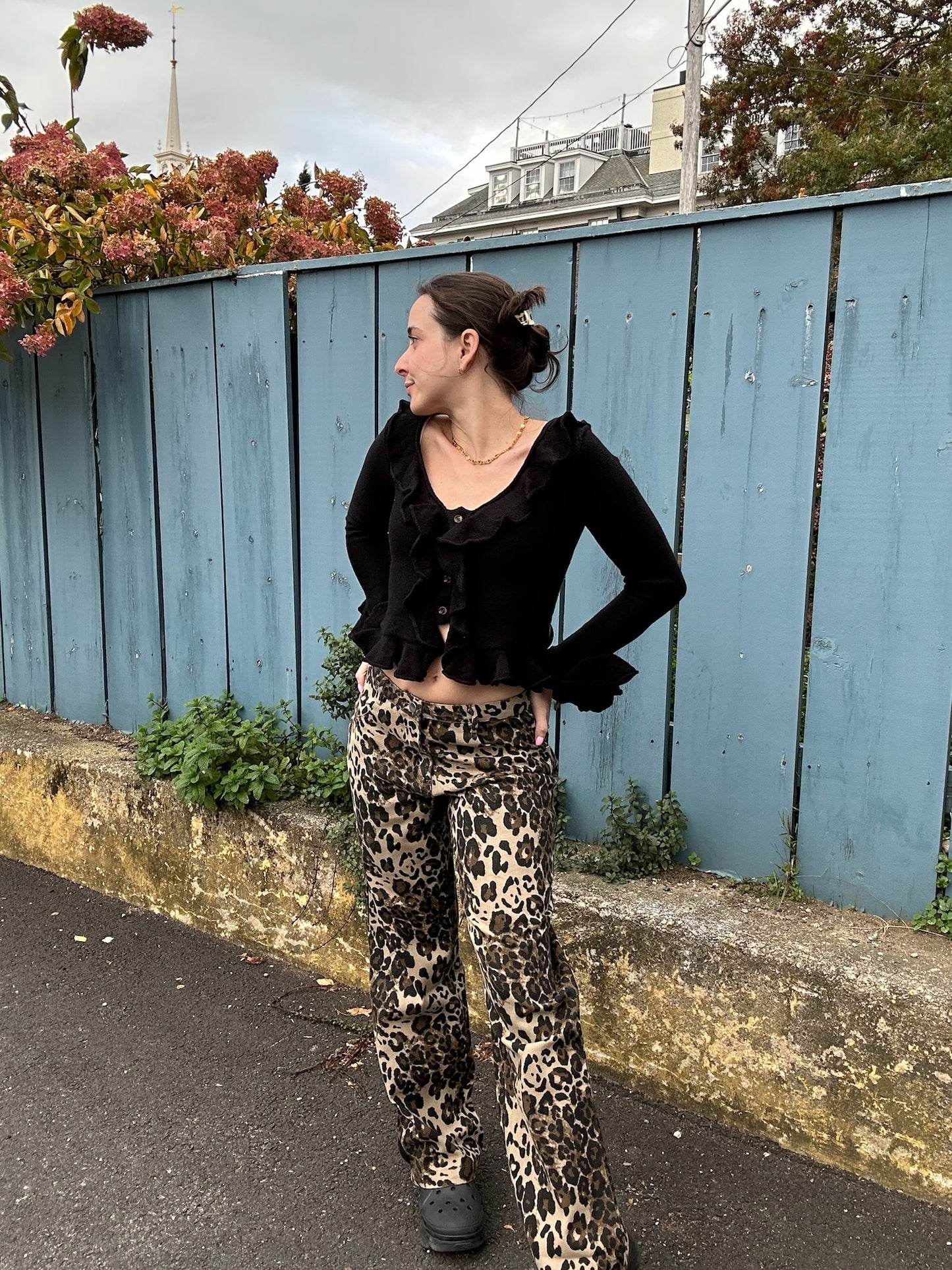 Cheetah Girl Pants