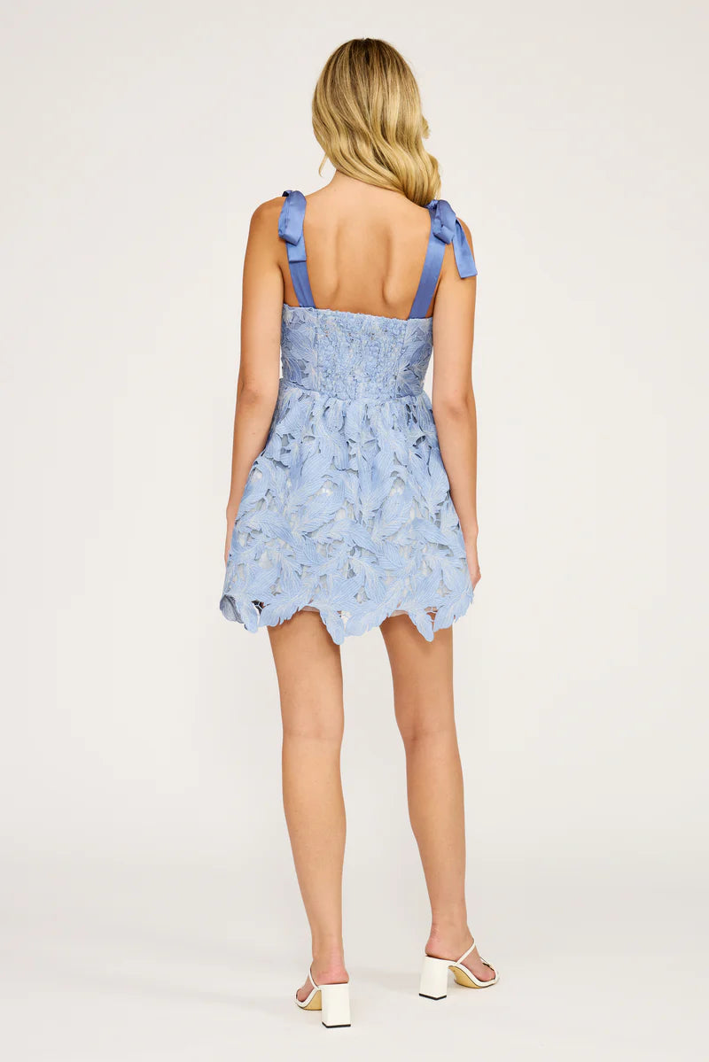 Micah Mini Lace Dress