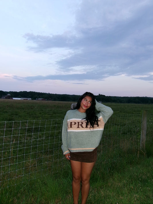 Stolen Heart Skirt