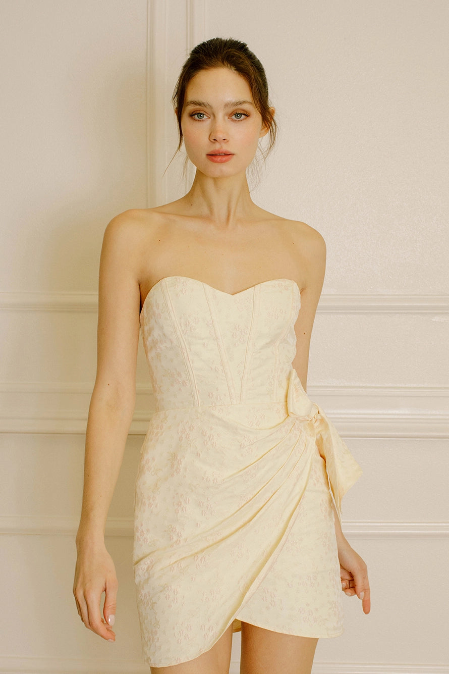 Princess Diaries Mini Dress