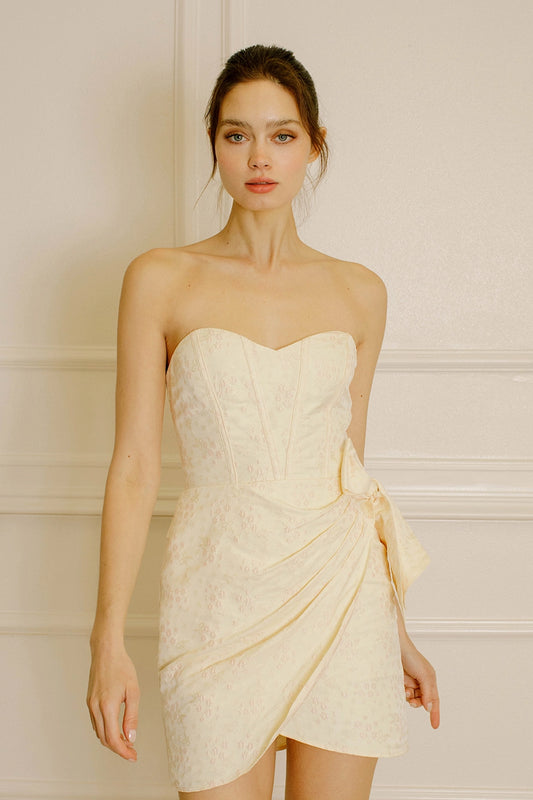 Princess Diaries Mini Dress