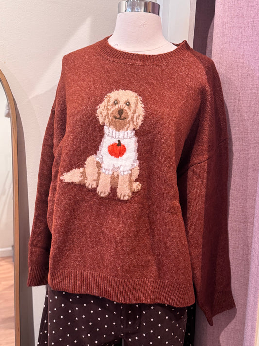 Pumpkin Doodle Sweater