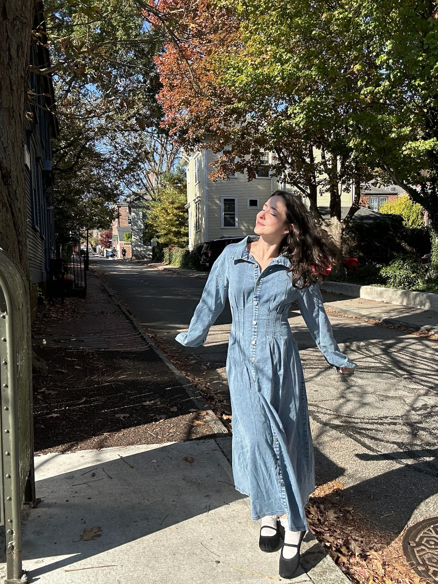 Kenzie Denim Dress