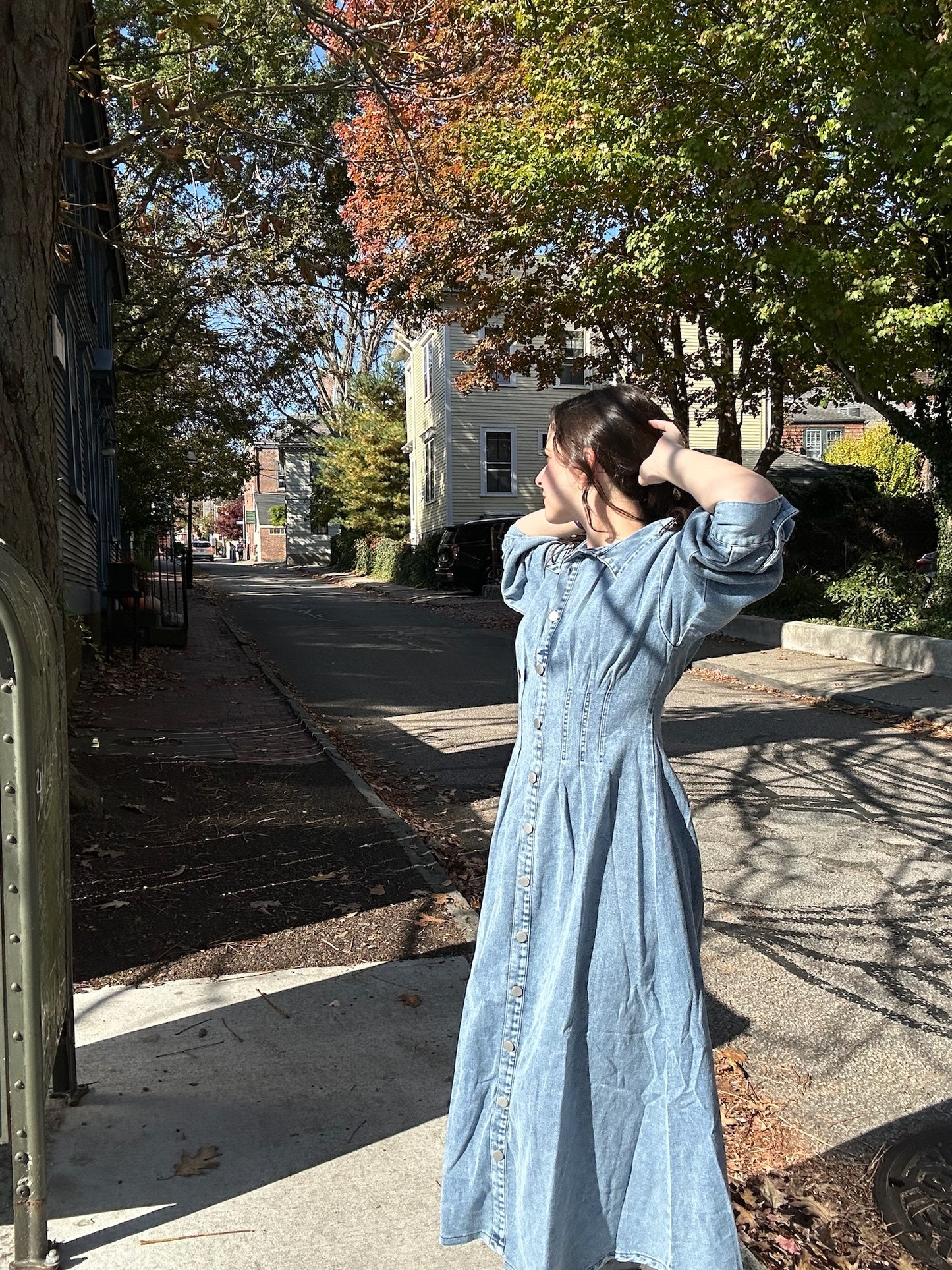 Kenzie Denim Dress