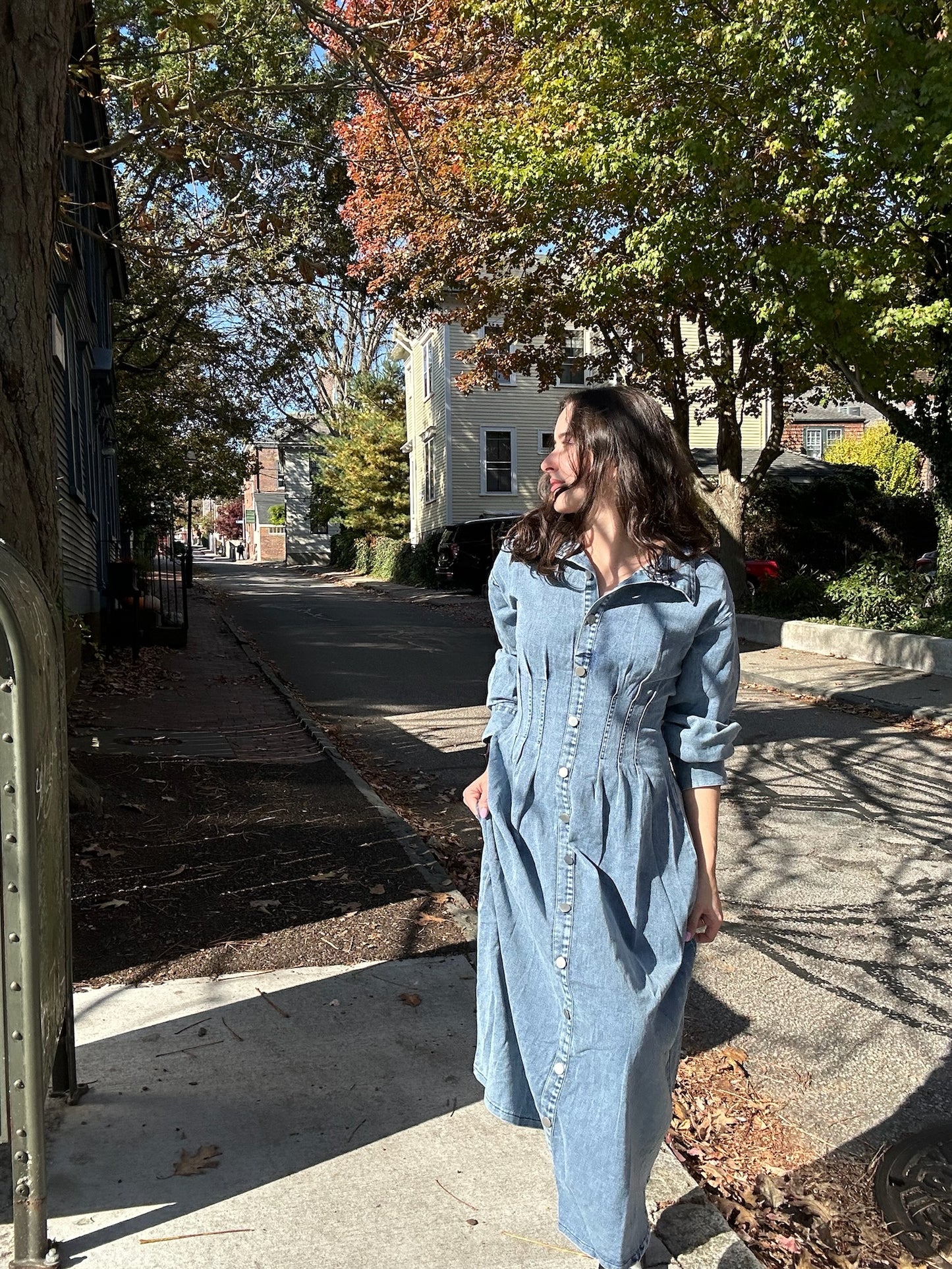 Kenzie Denim Dress