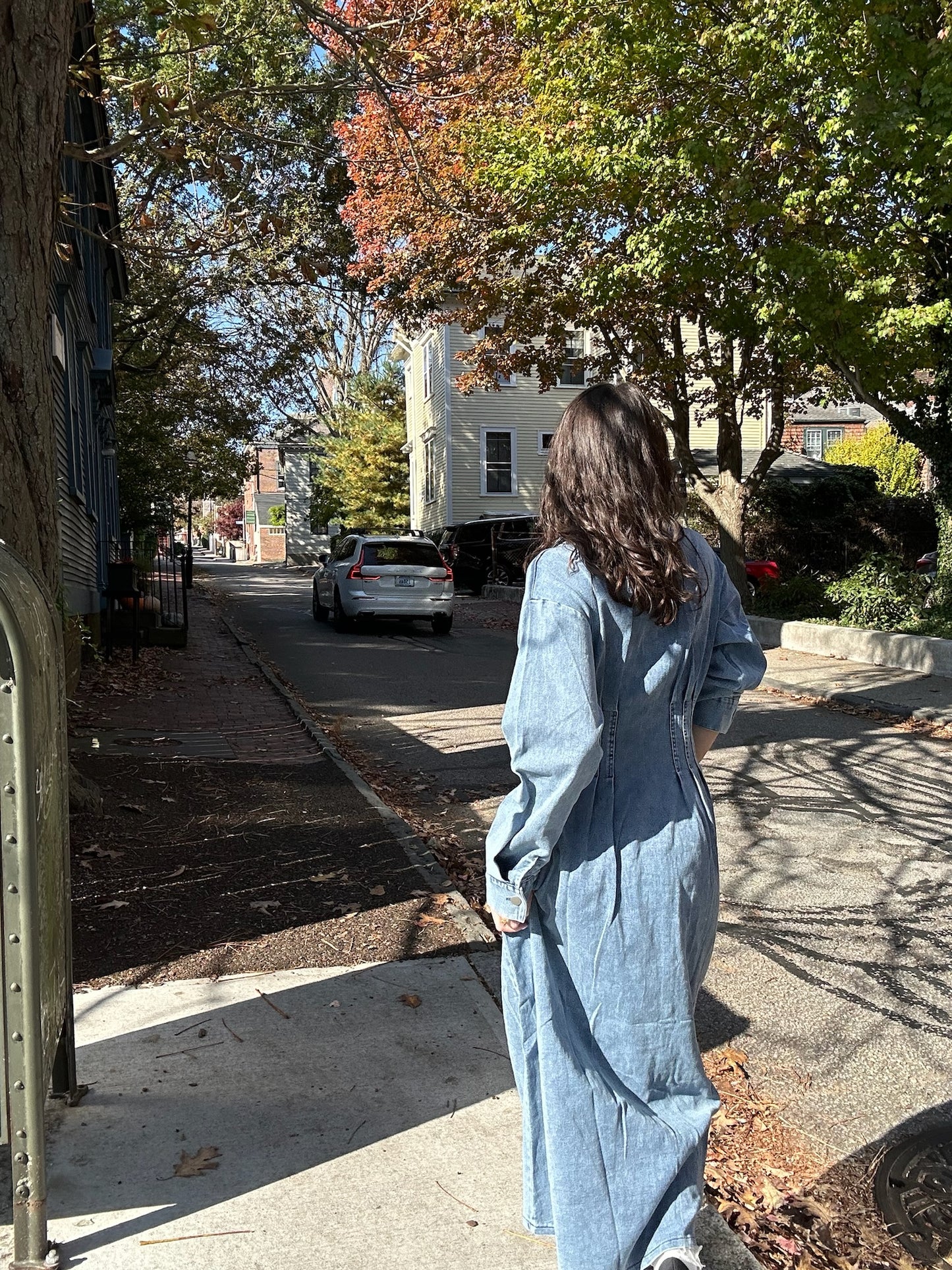 Kenzie Denim Dress