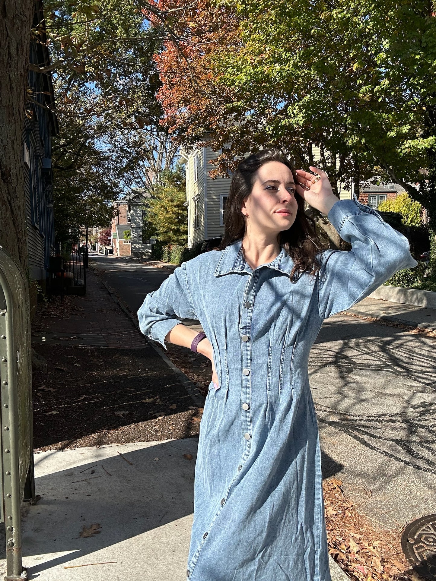 Kenzie Denim Dress