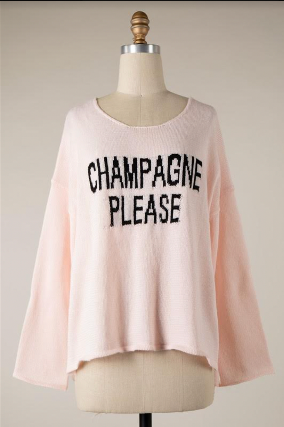 Wildfox champagne sale sweatshirt